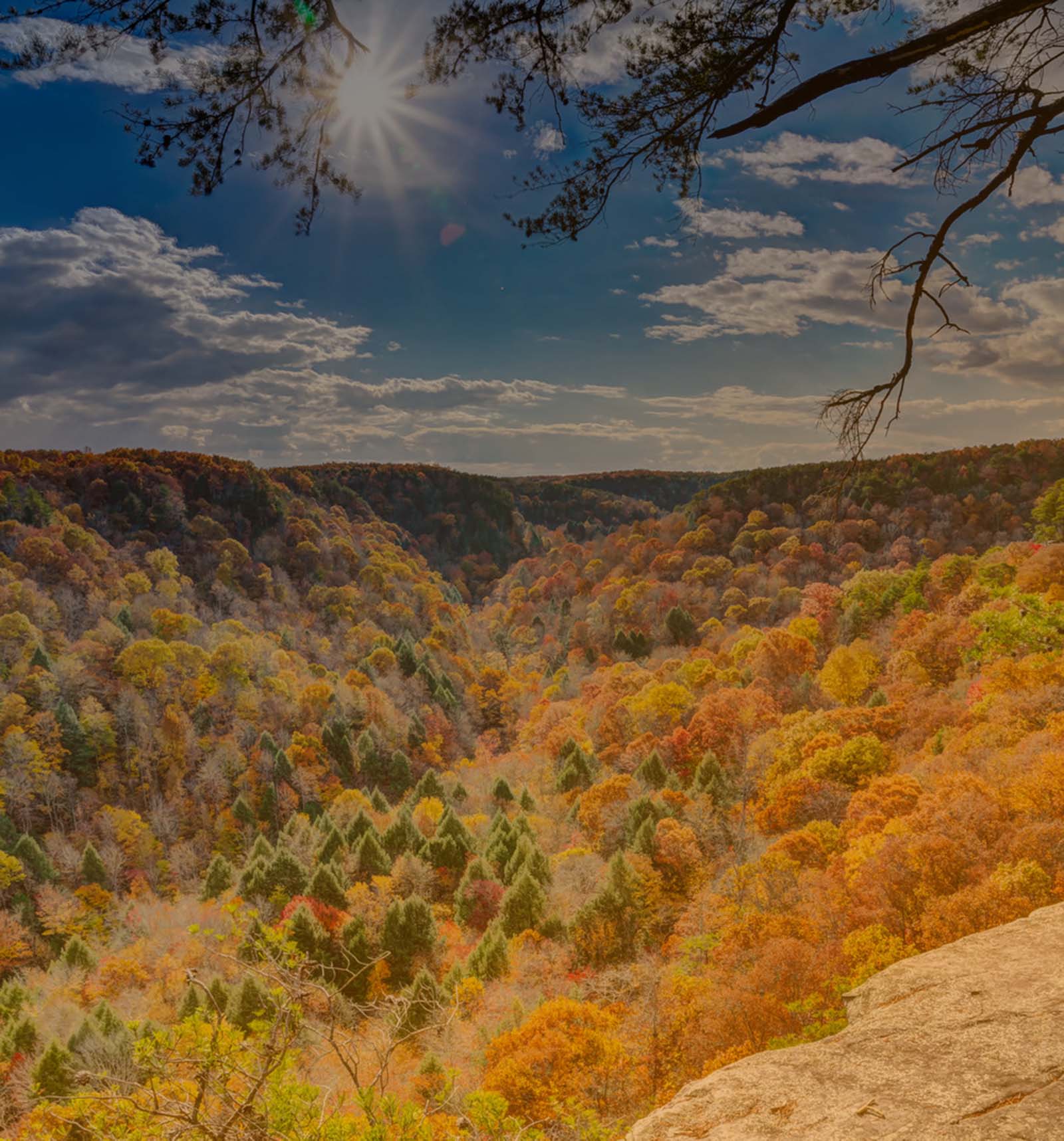 About Image McMinnville Properties Residential, Commercial & Land